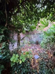 Vente Appartement 3 pièces SAINT-MAURICE 94410