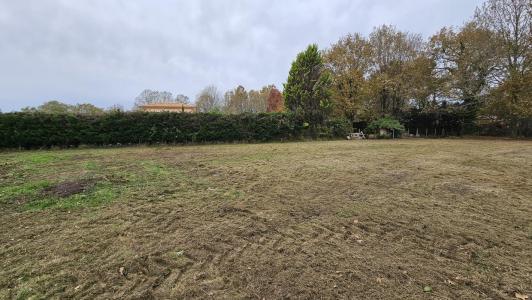 Vente Terrain CASTELNAU-DE-MEDOC 33480