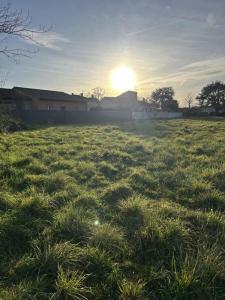 Vente Terrain ALBI  81