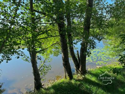 Vente Terrain GUILLON 89420