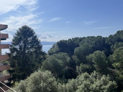 Location Appartement AJACCIO  20