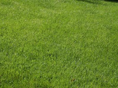 For sale Land POMPIGNAC  33