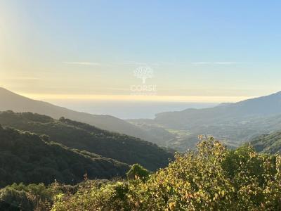 For sale House PROPRIANO  20