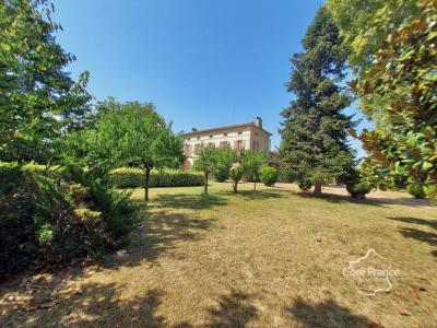 Vente Prestige LAMOTHE-LANDERRON 33190