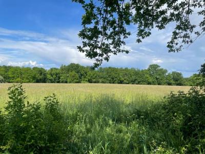 Vente Terrain VERDON-SUR-MER  33