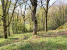 Acheter Terrain Prudhomat 29000 euros