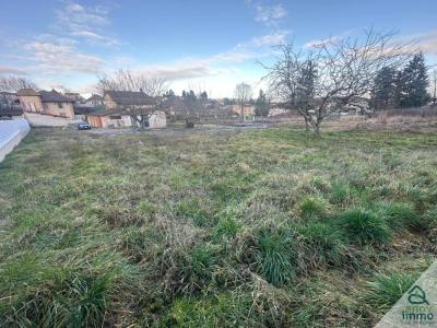 Vente Terrain CHALAMONT 01320