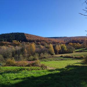 Vente Maison 2 pièces MARIGNY-L'EGLISE 58140