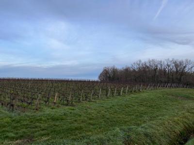 Vente Terrain MONTUSSAN 33450