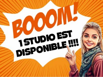 Location Appartement PONTS-DE-CE 49130