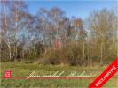 Annonce Vente Terrain Billy