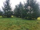 Annonce Vente Terrain 