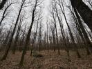 Acheter Domaine forestier 14958 m2 Ardentes