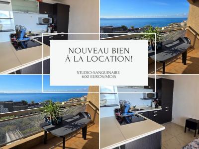 Vente Appartement AJACCIO 20090
