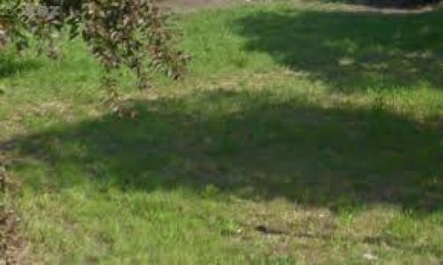 Vente Terrain CUZIEU  42