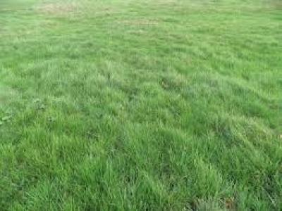 Vente Terrain CIVENS 42110