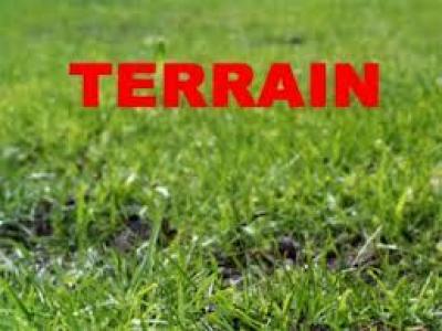Vente Terrain CUZIEU  42