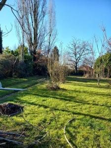 Vente Terrain GRENAY 38540