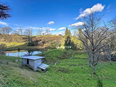 Vente Maison SAINT-DENIS-DES-MURS 