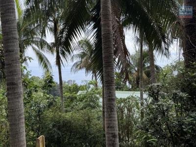 Vente Terrain AVIRONS 97425