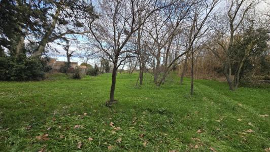 Vente Terrain PERTUIS 84120