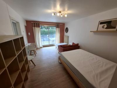 Location Appartement SAINT-ETIENNE  42