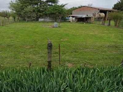 Vente Terrain TERSSAC  81