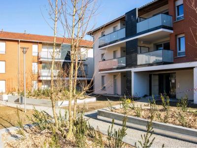 Location Appartement SAINT-JEAN 