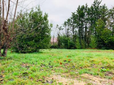 Vente Terrain MONTGUYON 17270