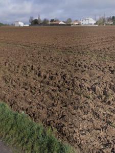 Vente Terrain SAINT-JEAN-DE-LIVERSAY 17170