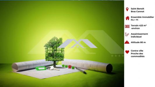 Vente Immeuble SAINT-BENOIT 97470