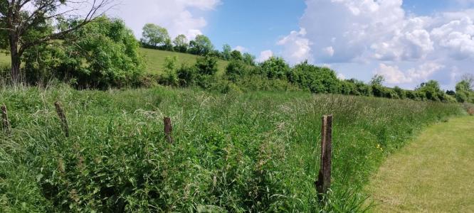 Vente Terrain POUILLY-EN-AUXOIS 21320