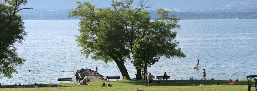 Vente Appartement 3 pi�ces MESSERY 74140