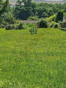 Vente Terrain AUXERRE 89000