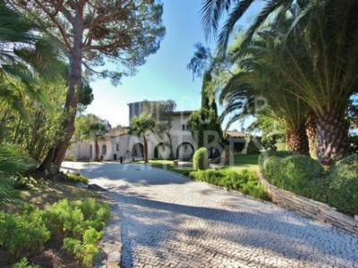 Rent for holidays House JUAN-LES-PINS Cap d'Antibes