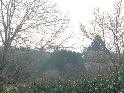 Vente Terrain MIGNE-AUXANCES 86440