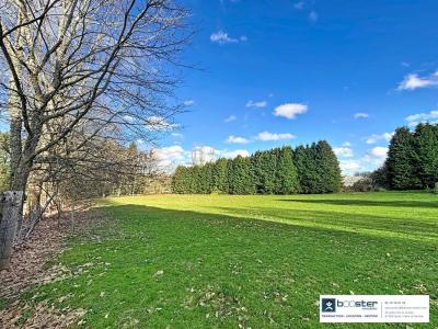 Vente Terrain SAINT-YRIEIX-LA-PERCHE 87500