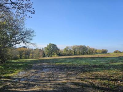 Vente Maison MONTASTRUC-LA-CONSEILLERE 