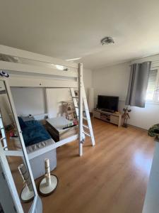 Location Appartement VILLEURBANNE 69100