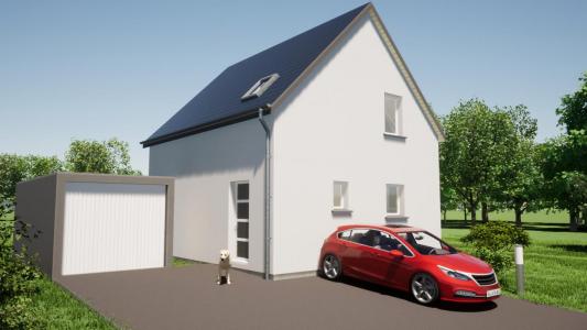 Vente Maison HIRSINGUE 68560