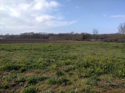 Vente Terrain MOEZE 17780