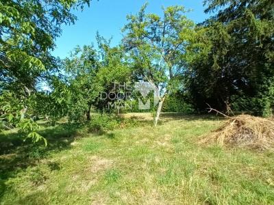 Vente Terrain TORCENAY 52600