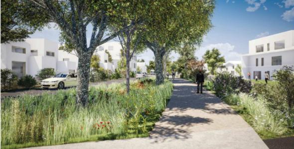 Vente Terrain PLESCOP 56890