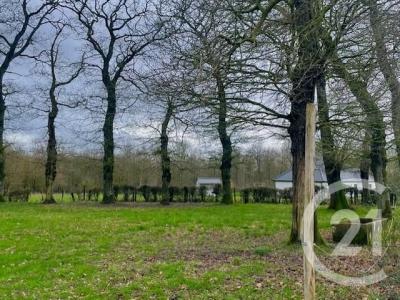 Vente Terrain BOURTHES  62