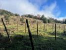 Annonce Vente Terrain 