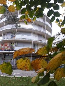 Location Appartement TRONCHE 38700