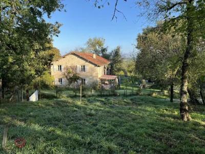 Vente Prestige LARROQUE-SAINT-SERNIN 32410