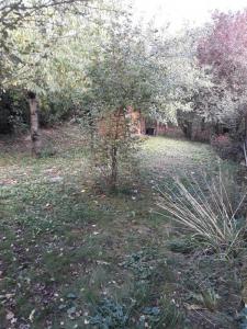 For rent House NEUVES-MAISONS 