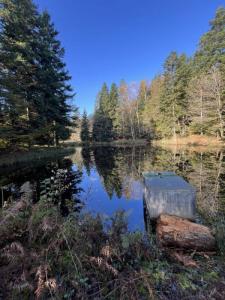 Vente Terrain FAUCOGNEY-ET-LA-MER 70310