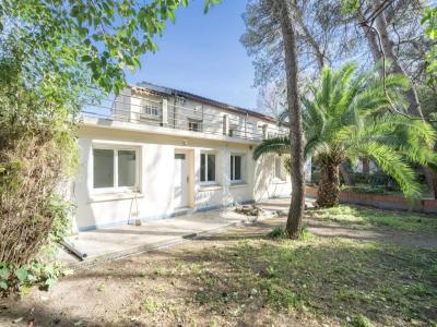 Vente Appartement 11 pièces MONTPELLIER 34000